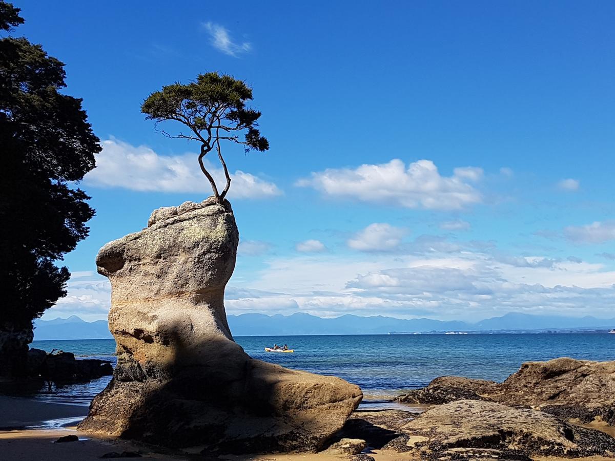 Abel Tasman Sands Bnb Riwaka Luaran gambar