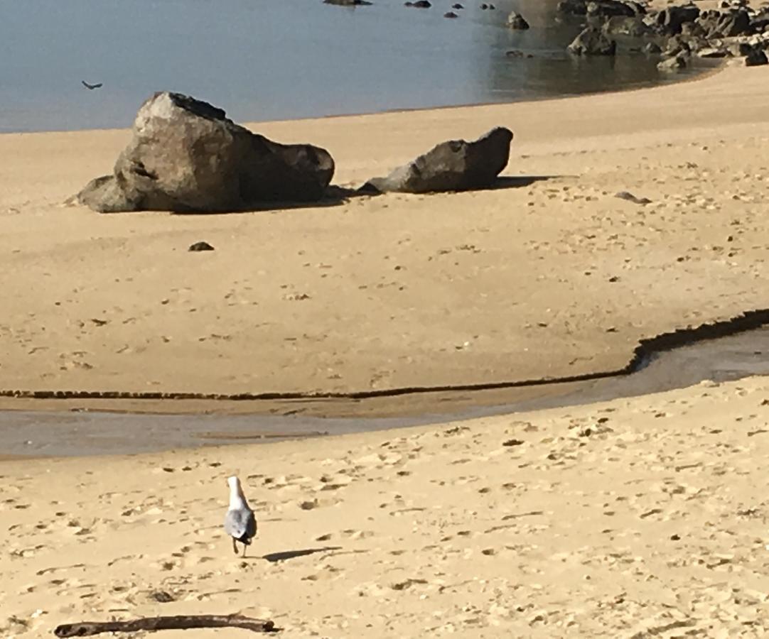 Abel Tasman Sands Bnb Riwaka Luaran gambar